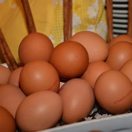 San Michele Μπιμπιόνε